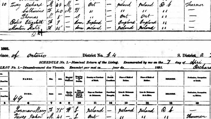 Richard Tovey household, 1891 Census of Canada, Ontario, Lanark South, Bathurst, family no. 10, p. 2, lines 21-25, and p. 3, lines 1-2.
