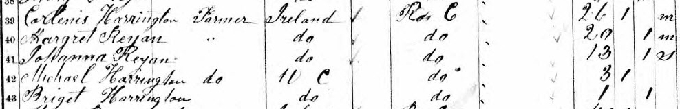 Cornelius Harrington household, 1861 census of Canada West (Ontario), Renfrew County, Algona, p. 1, lines 39-43.